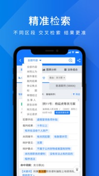 聚法案例