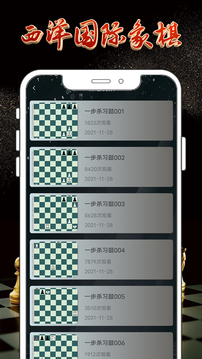 国际象棋双人